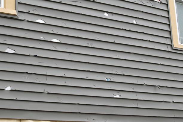 Best Demolition Debris Removal  in Carthage, MO