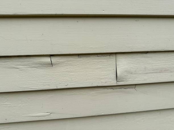Best Foreclosure Cleanout  in Carthage, MO